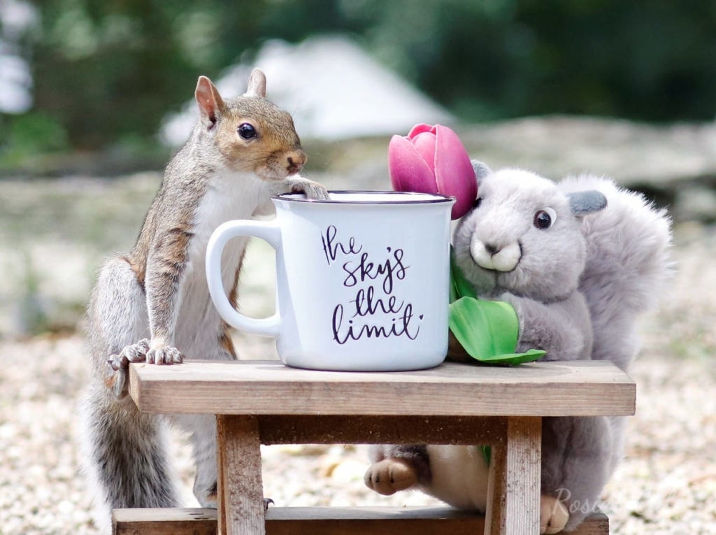 3b0ac9a2f952aaf4254ad6763760e573