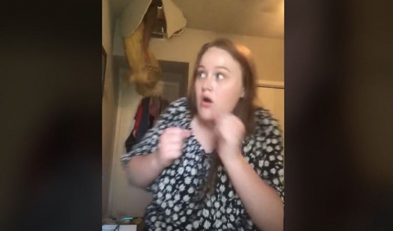 3eec011152ed275d2fd732c3b45e235b