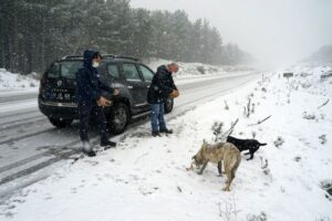 40da9273c8cf600af5cbe5db6d839065