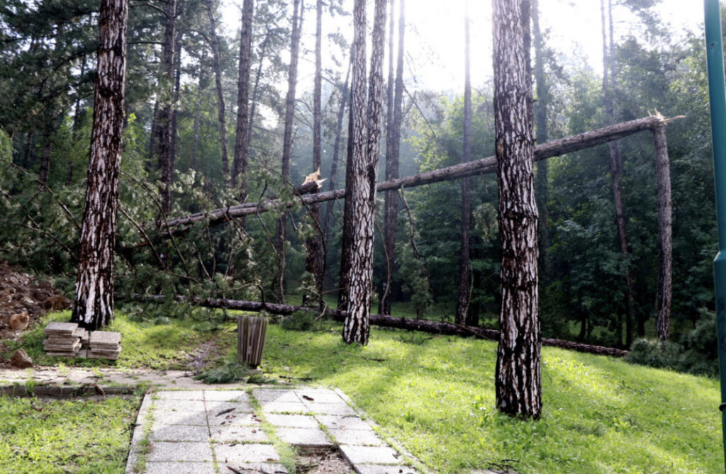 43100429 EB9C 4B83 AA82 FB59C64F6FC5