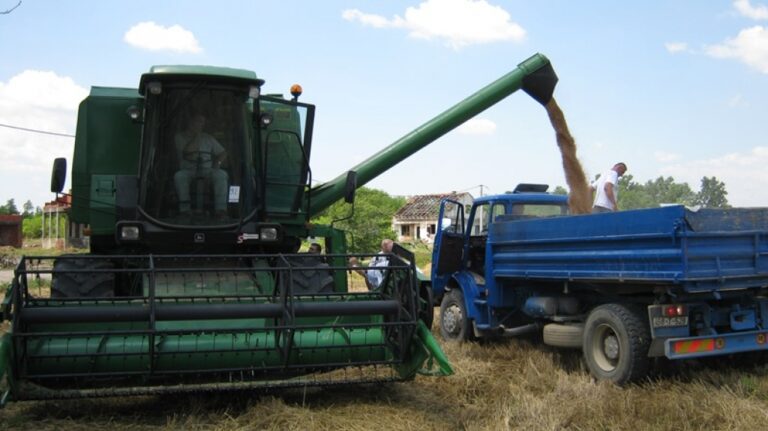 “Žetva pšenice je uspješna, ali ne proizvodimo ni 30 posto od potrebnog, uvoz nas guši”