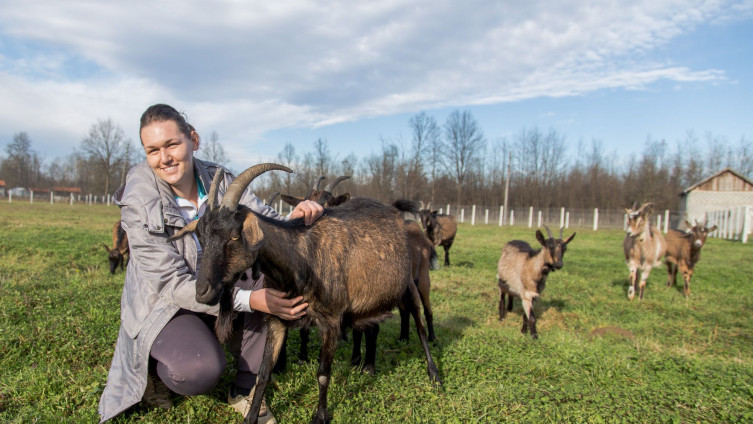 Fakultetsku diplomu odložila u ladicu i prihvatila se uzgoja koza