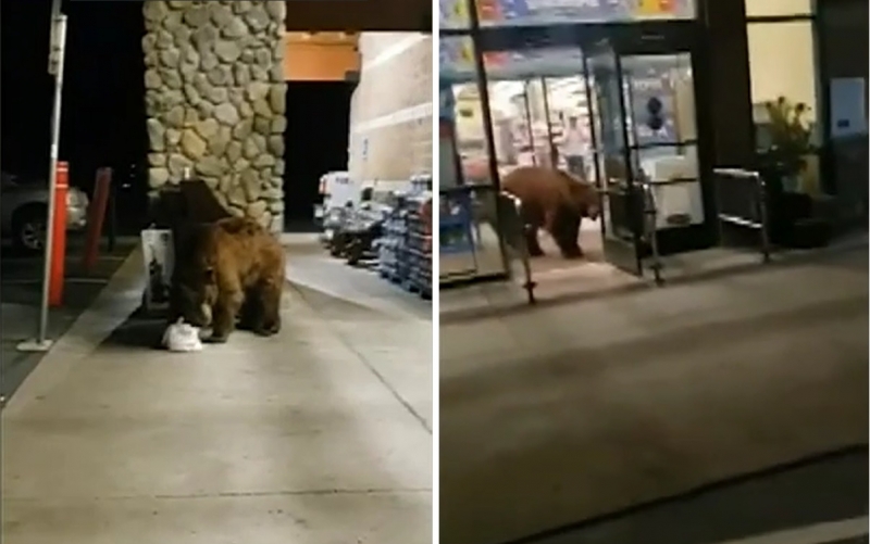 516146d237b8f7bb1eff08fff2bb805f