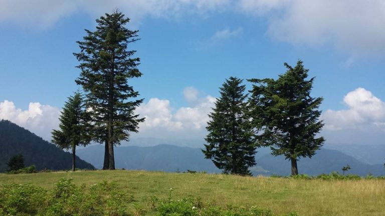 Humanitarna planinarska tura za Lava Arslana, na planinu Mahnjaču kod Željeznog Polja