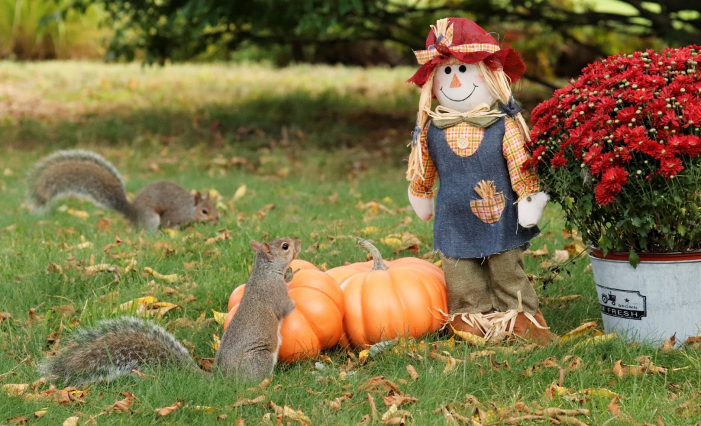 56ff8c989dbdd34e558c7e8c6311f116