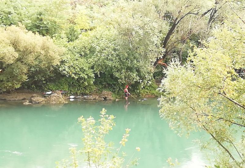 58B9F106 0195 42B3 A8CC B3D6B827B708