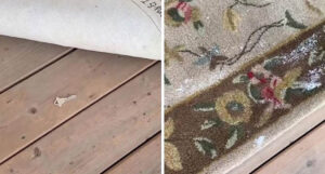 590839e6 eeae 4334 b329 b6e3ef205645