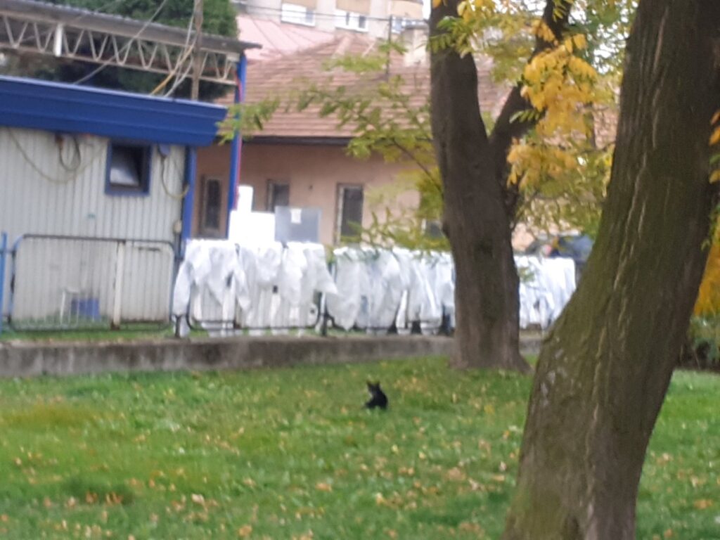 61B14688 170F 4041 86D5 F26E6A7895EF