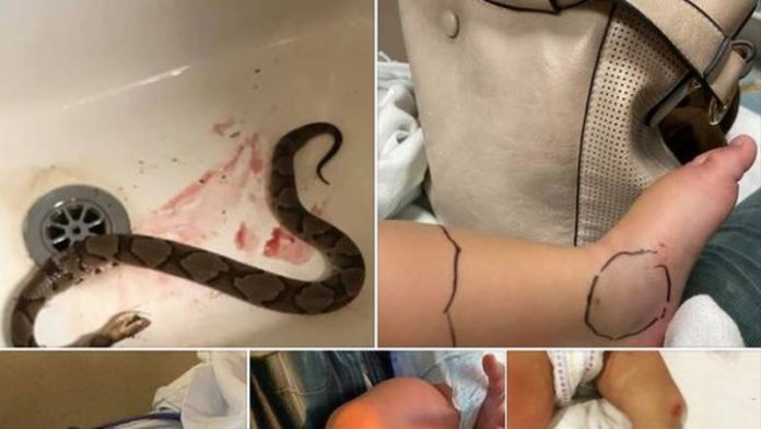 6590FF10 1AA4 4186 B9F6 974483092971 696x392 1