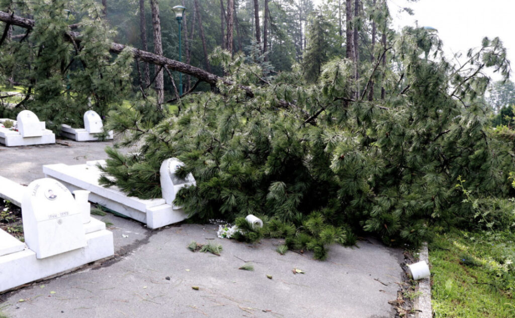 6938021D 6C9E 4C95 8E1A D13B1FF0AE41