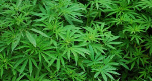 6EAB8CF3 13B3 4E0D A490 E10F57648FCF