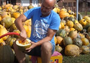 6ae8db935486d916b343cd7ff38faac4