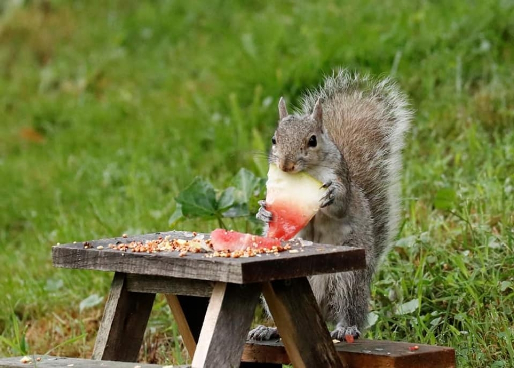 6de4aeb7fbdee10d04279f2fcd7361ab