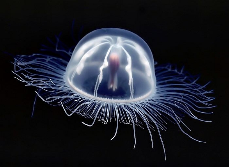 6feab4a880e8de7709910ba60f42574b