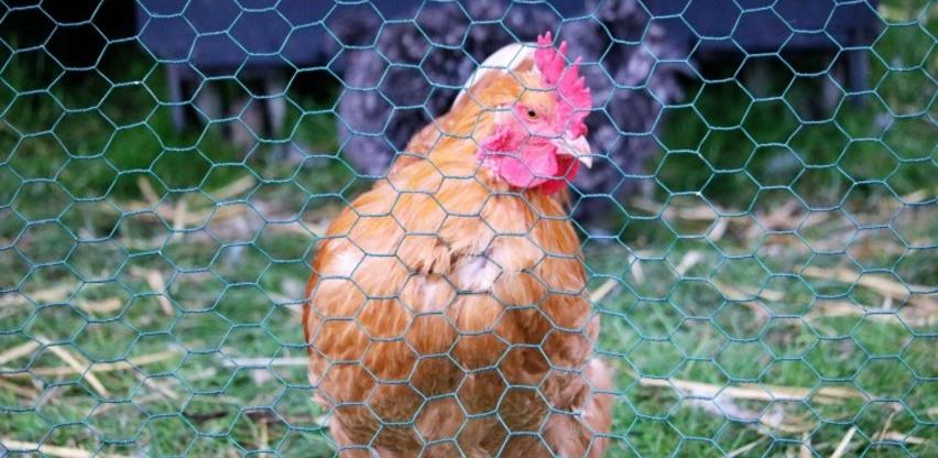 736dc6ef ca50 4b6e 870a abd201143e9fperad