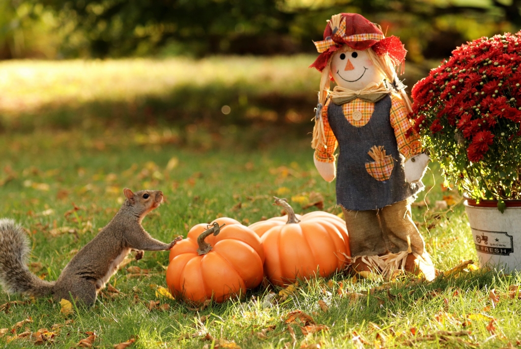 744d89ddb9328687bccdec986643316d