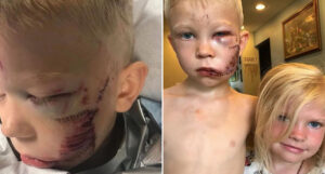 74a3fde0 c64c 11ea afff ec7966ab67f9