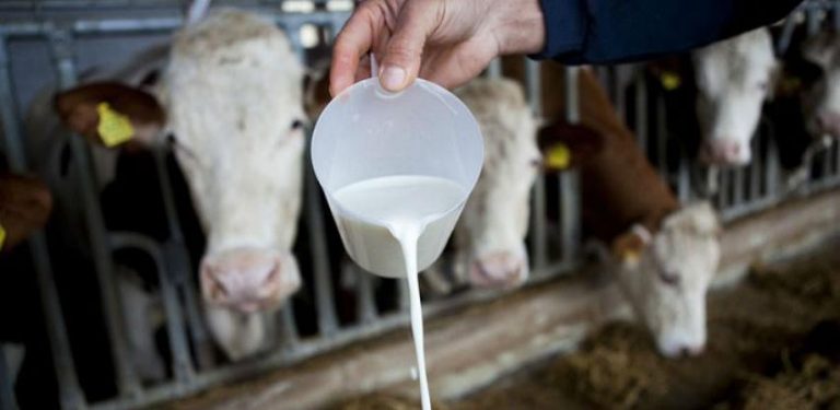 Mljekari iz BiH ciljaju izazovno tržište Rusije