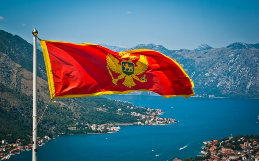 7914BFBA F78A 4D81 A145 27C22B2DE384