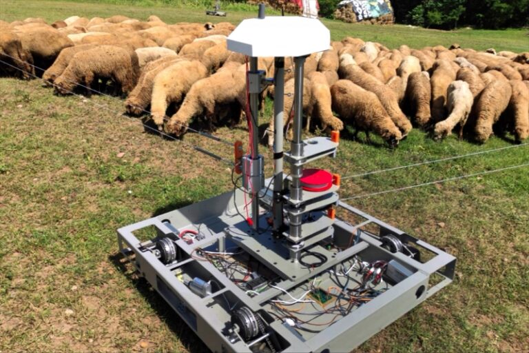 U Nišu prave robote-pastire koji će čuvati ovce