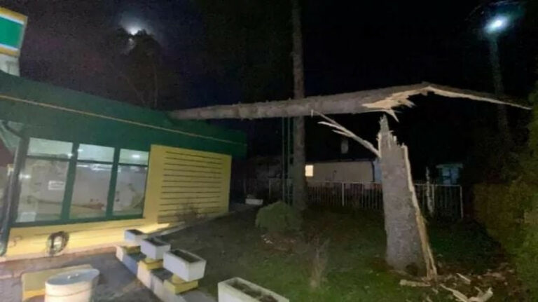 Snažan vjetar čupao stabla iz korijena, meteoalarm upaljen i danas