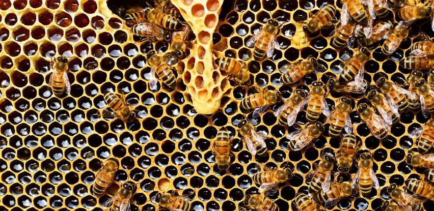 80df6882 7479 4553 98e9 e1c0f067871dfref