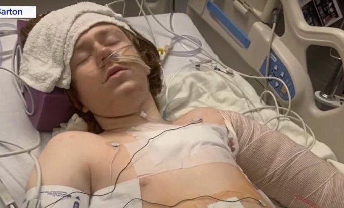 818931 screenshot 1 ls