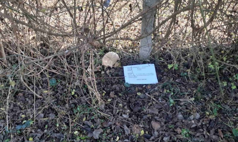 8223cbac074b38e647f5d7662aaed743