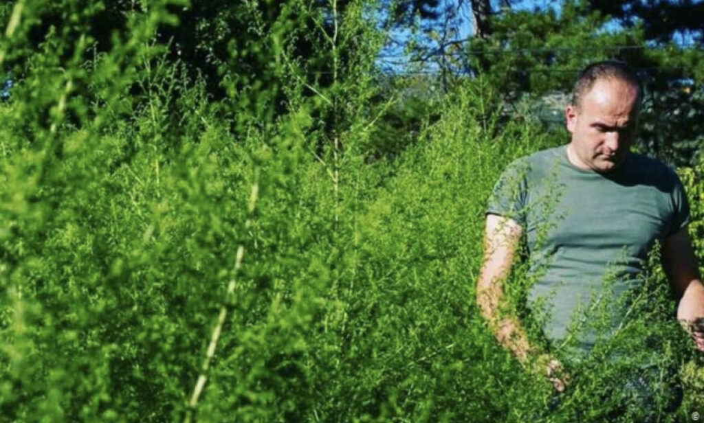 87A6C166 DBD0 4CD5 8695 7B166B338EA8