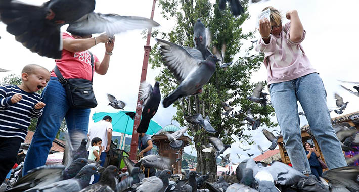 8AB92A57 ECAE 4E8F B220 ABEAEAFBD08E