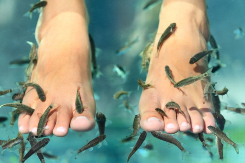 8b6f13e87698788511222de3cb7d713a