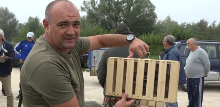 Marinko Džoić jedini uzgajivač divljih zečeva u BiH