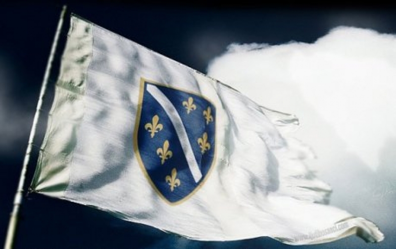 95501899afa681eb423dafa8924439f6