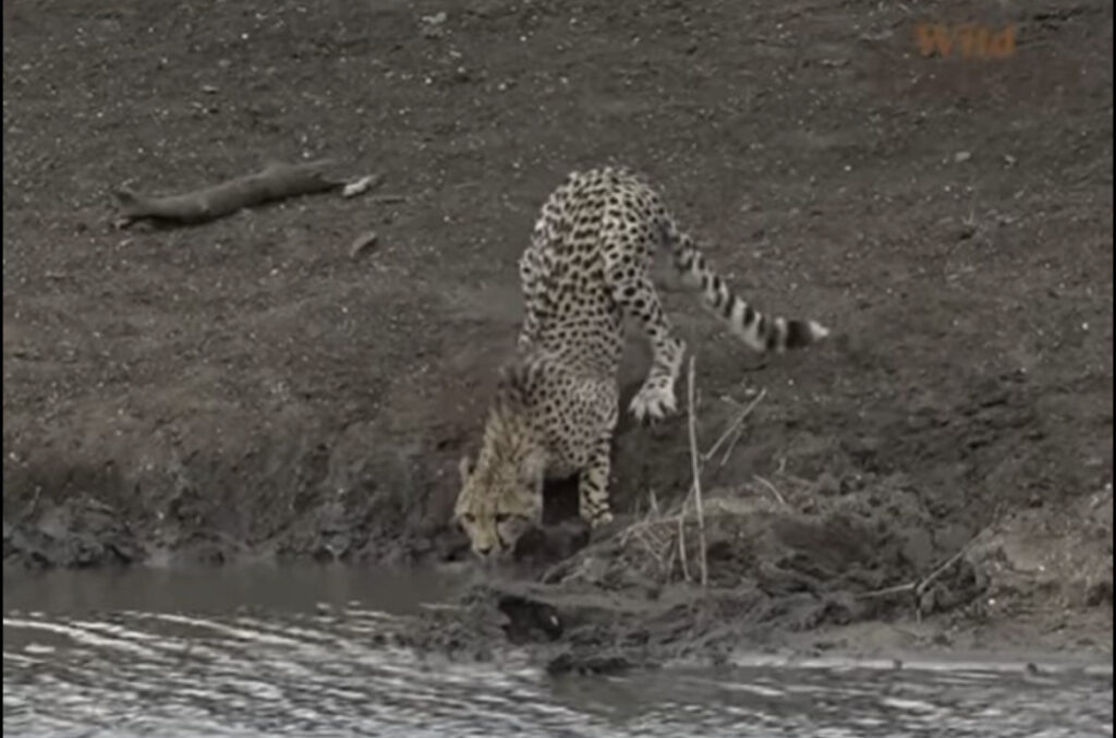 9A71A9EA DCDD 4DCA 9C17 73842D3C0DCA