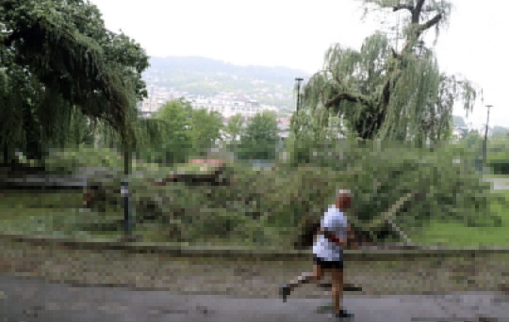 9EB94CBB FF11 42A8 9625 8472F45B358D