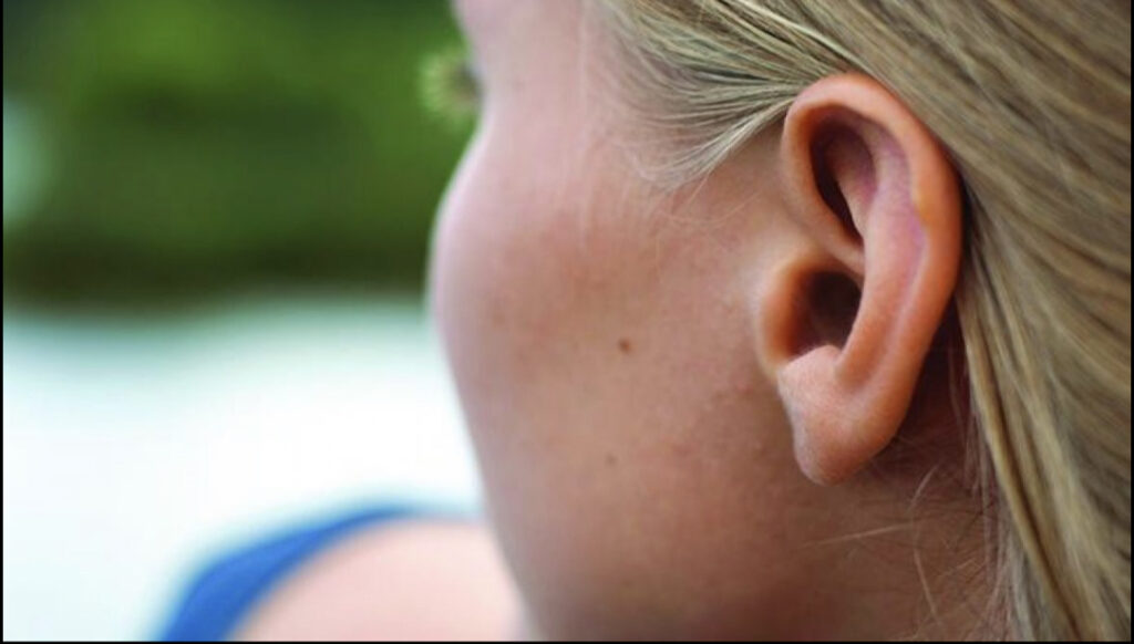 A74A1E8A 549C 47AC 97CC 1355C0E931F8