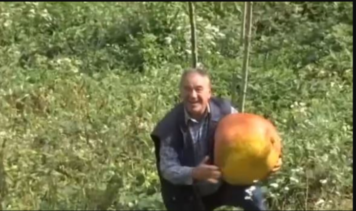 AUSTRIJSKU PENZIJU ULOŽIO U NEOBIČAN BIZNIS 696x412 1