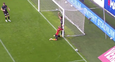 B73C7390 49E1 4B3F AD76 0539154CF114