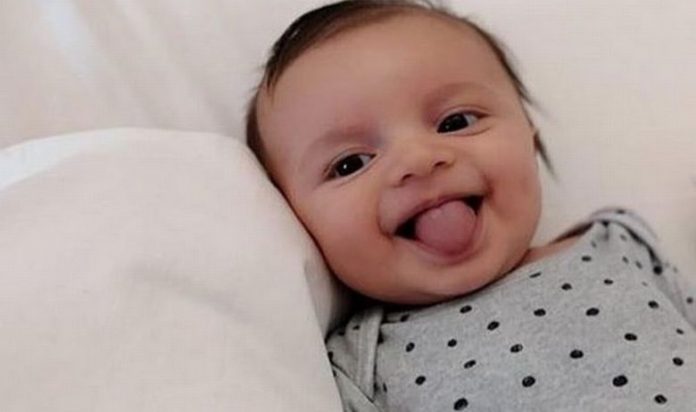 Beba Leonardo 696x412 1