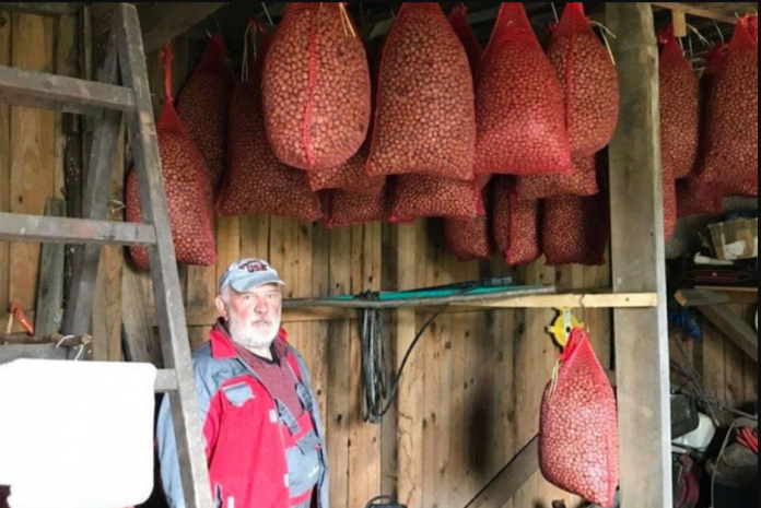 Bolje raditi nego sjediti u kafani 696x465 1