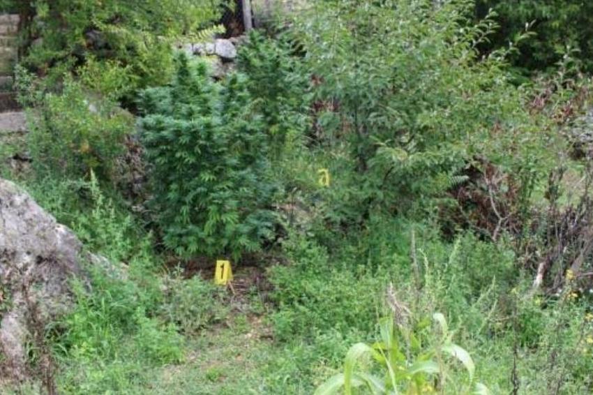 C14E586B 6064 4F44 8807 E561ACA3A5A9