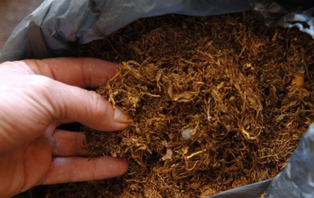 C4678FF6 C520 4AD2 9F10 29F15D7C2C65