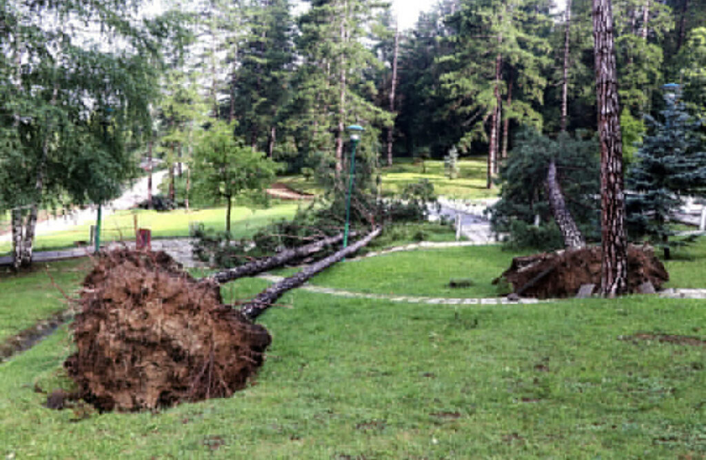 C5EF951A D2A6 4470 A74D 5F30A567EC51