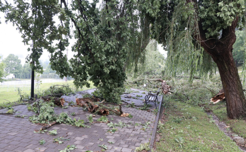 CAEA0375 6A89 493D A653 198242162744