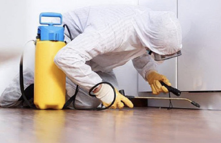 INZ: provođenje jesenje deratizacije u ZDK