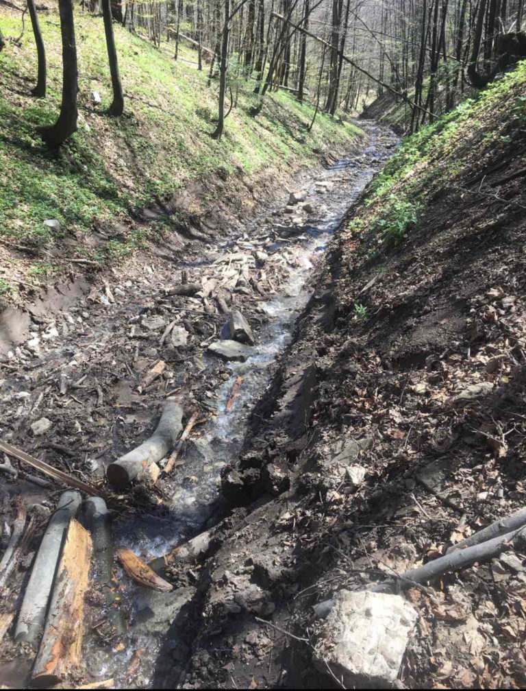 ZA ČISTU BABINU RIJEKU: Voditi računa o zagađenju rijeke