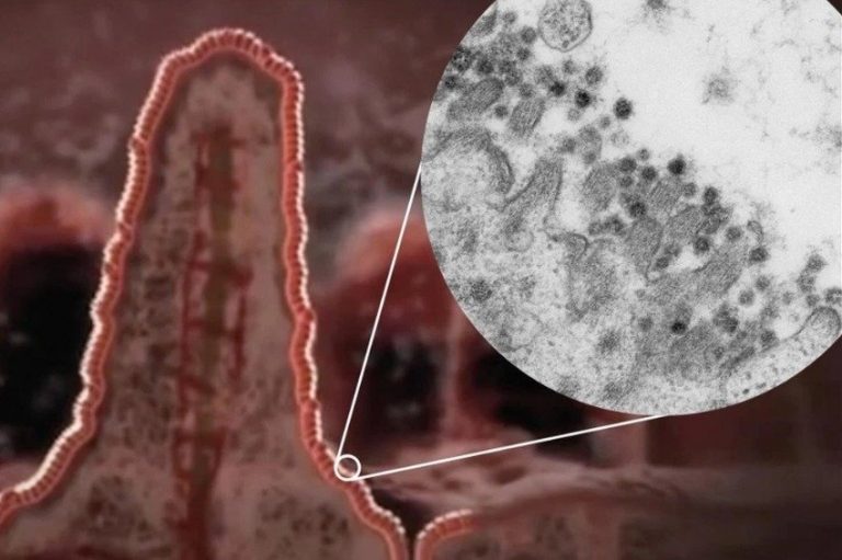 Koronavirus bi mogao početi slabiti, naučnici otkrili novu mutaciju