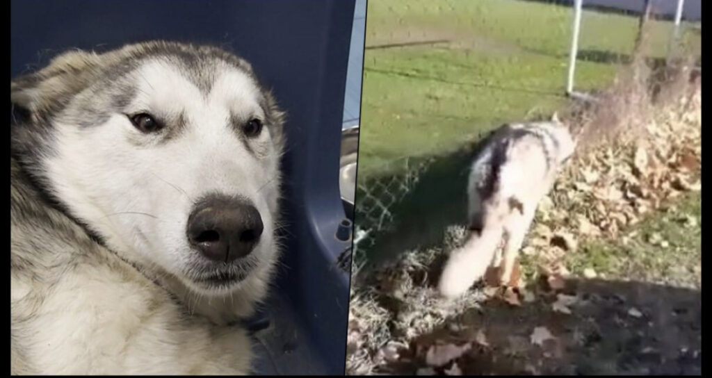 D4749D7A B7CE 49F4 BD50 00DA0C69EB3D