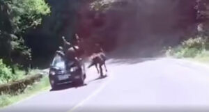 D947C64C 0BE7 48F2 9CD4 91F9C8458FB6