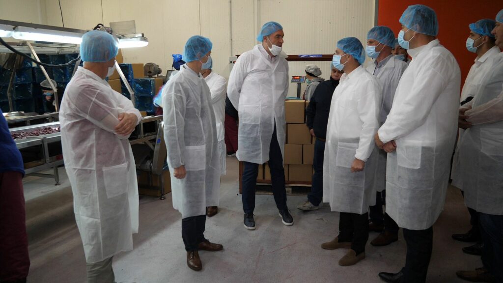 DF6F6063 FDFF 4696 AD36 844D6978F901